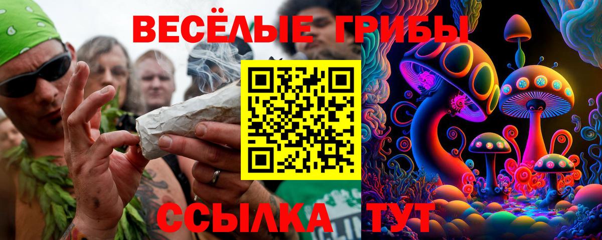 Галлюциногенные грибы Magic Shrooms Борзя