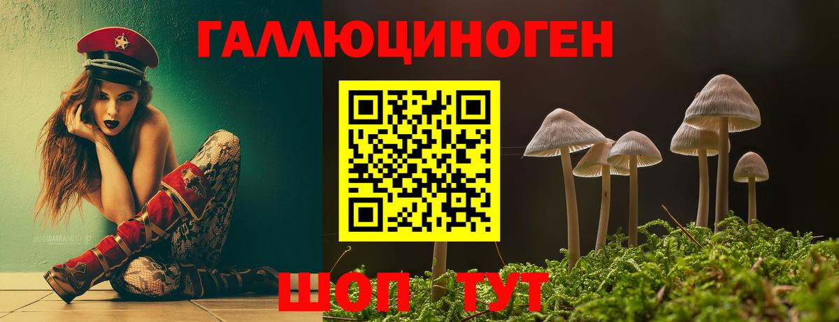 Псилоцибиновые грибы Cubensis  Галлюциногенные грибы Cubensis  Борзя  Вход с VPN 